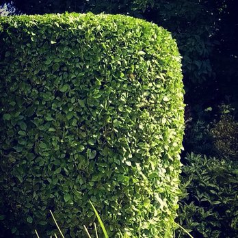 Nick's Garden Maintenance - Gardeners Near Me Nick's Garden Maintenance - Gardeners Near Me