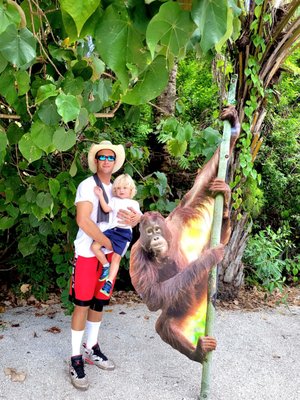 Naples Zoo at Caribbean Gardens by null