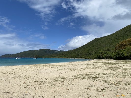 Brewers Bay Beach by null