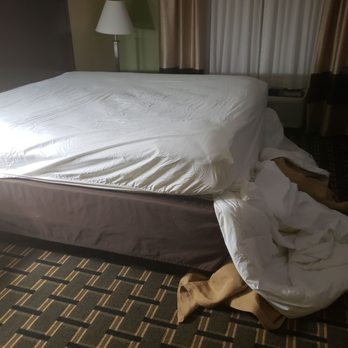 Comfort Inn - Hotels Near Me - Marion, Arkansas Comfort Inn - Hotels Near Me - Marion, Arkansas