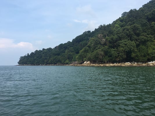 Penang National Park by null