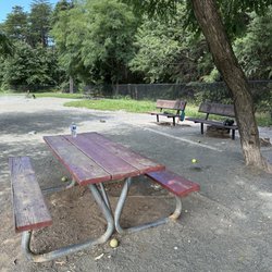 Mason District Dog Park