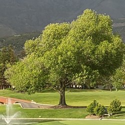 The Pauma Valley Country Club