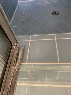 The Hideaway by null