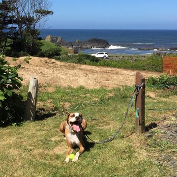 Seal Rocks RV Cove - RV Parks Near Me - Seal Rock, Oregon Seal Rocks RV Cove - RV Parks Near Me - Seal Rock, Oregon
