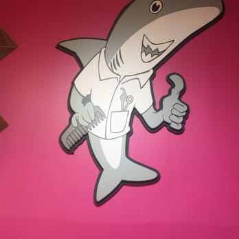 Sharkey's Cuts For Kids - Cute shark - Blow Dry/Out Services Near Me - Lorton, Virginia Sharkey's Cuts For Kids - Cute shark - Blow Dry/Out Services Near Me - Lorton, Virginia