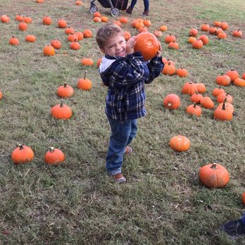 Walden Farm - Attraction Farms Near Me - Smyrna, Tennessee Walden Farm - Attraction Farms Near Me - Smyrna, Tennessee