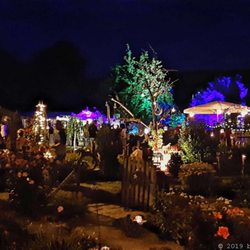 Gärten bei Nacht - Landgarten illuminiert (02/2020)