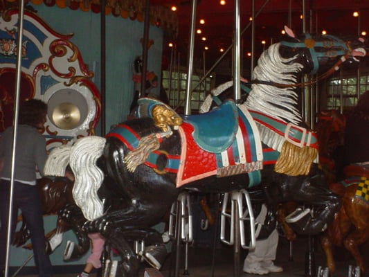 Central Park Carousel by null