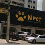 Photo of N Pet