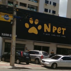 N Pet - N Pet