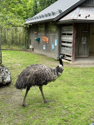 Zoo de Granby by null