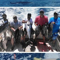 Osprey Sportfishing - Catch of the Day