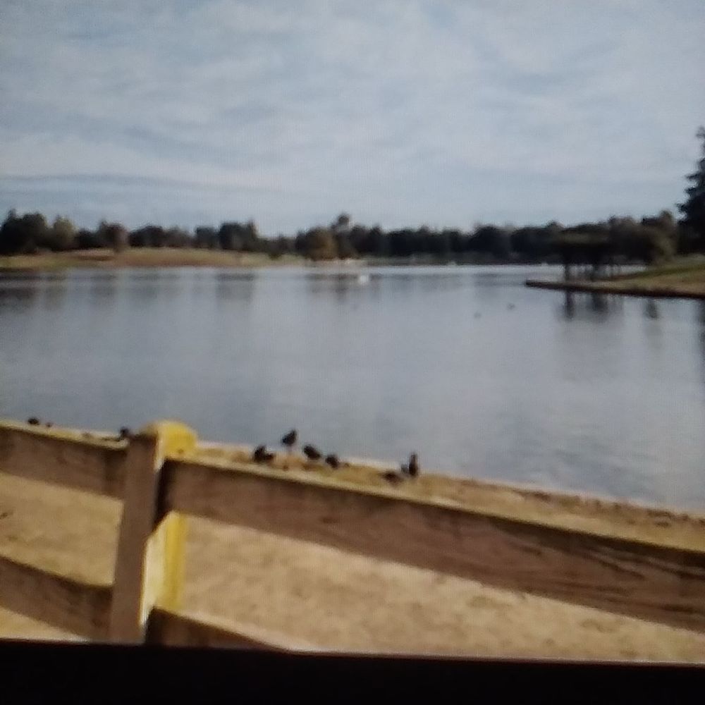 Woodley Park - Parks Near Me - Van Nuys, California Woodley Park - Parks Near Me - Van Nuys, California
