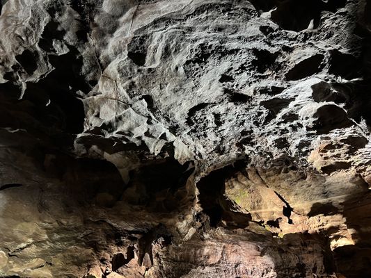 The Lost Sea Adventure by null