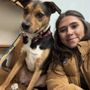 Photo of Sploot Veterinary Care - RiNo
