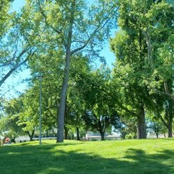 Frank Seymour Park