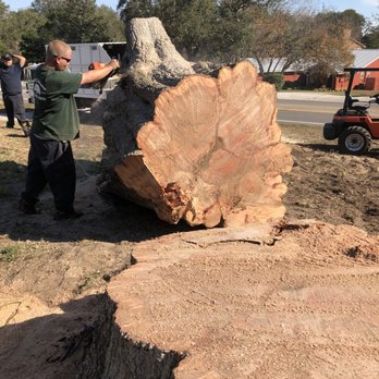 Durham's Tree Service - Tree Services Near Me - Winter Haven, Florida
