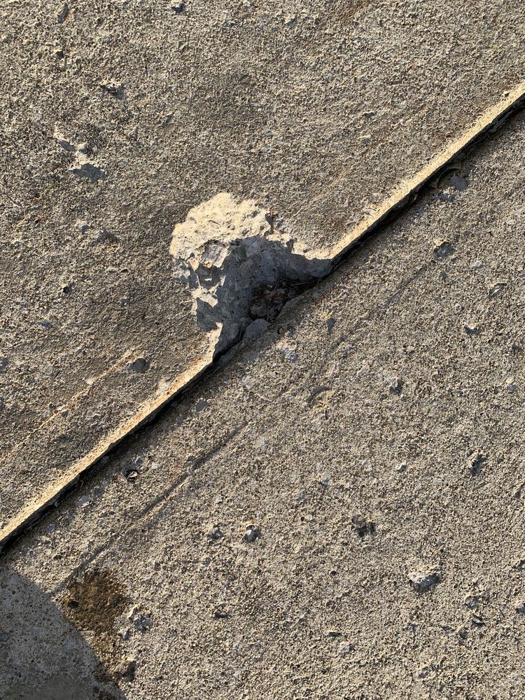 Highpoint Tree Service Michael Baetzold - tree service in Cleveland, OH