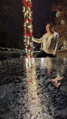 Vulcan Park and Museum by null