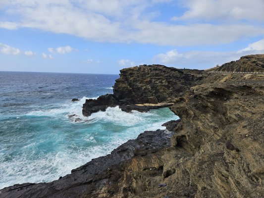 VIATOR - Updated June 2026 - 25 Photos & 113 Reviews - Honolulu, Hawaii ...