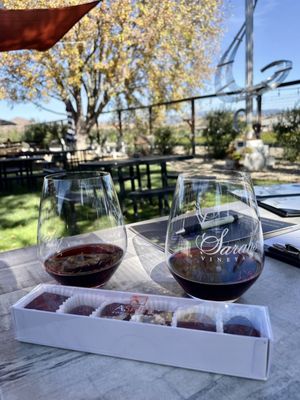 Sarah's Vineyard by null