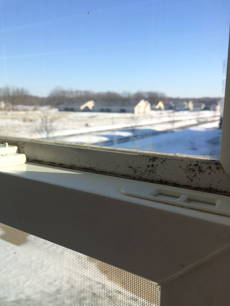 THE HAMMOCKS AT TIMBER BANKS Updated September 2024 80208180 River