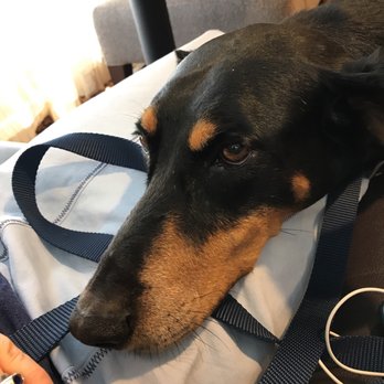 Hampton Inn Salisbury - She's got fans at the front desk. - Hotels Near Me - Salisbury, North Carolina