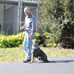 Durham Kennels