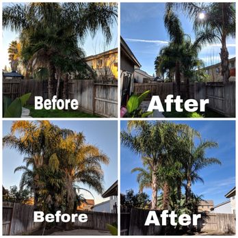 R's Tree Care - Here is a before and after of work completed. - Tree Services Near Me