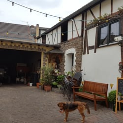 Weingut Kries - Hund und Herrchen