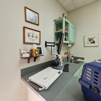 Manor Veterinary Hospital PC - Cat exam room - Veterinarians Near Me - Manor, Texas Manor Veterinary Hospital PC - Cat exam room - Veterinarians Near Me - Manor, Texas
