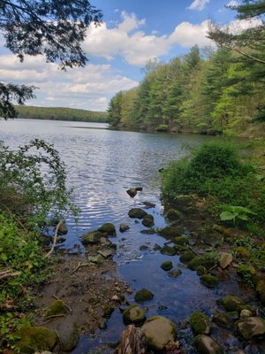 NATURE CONSERVANCY - DEVIL’S DEN PRESERVE - Updated May 2024 - 63 ...