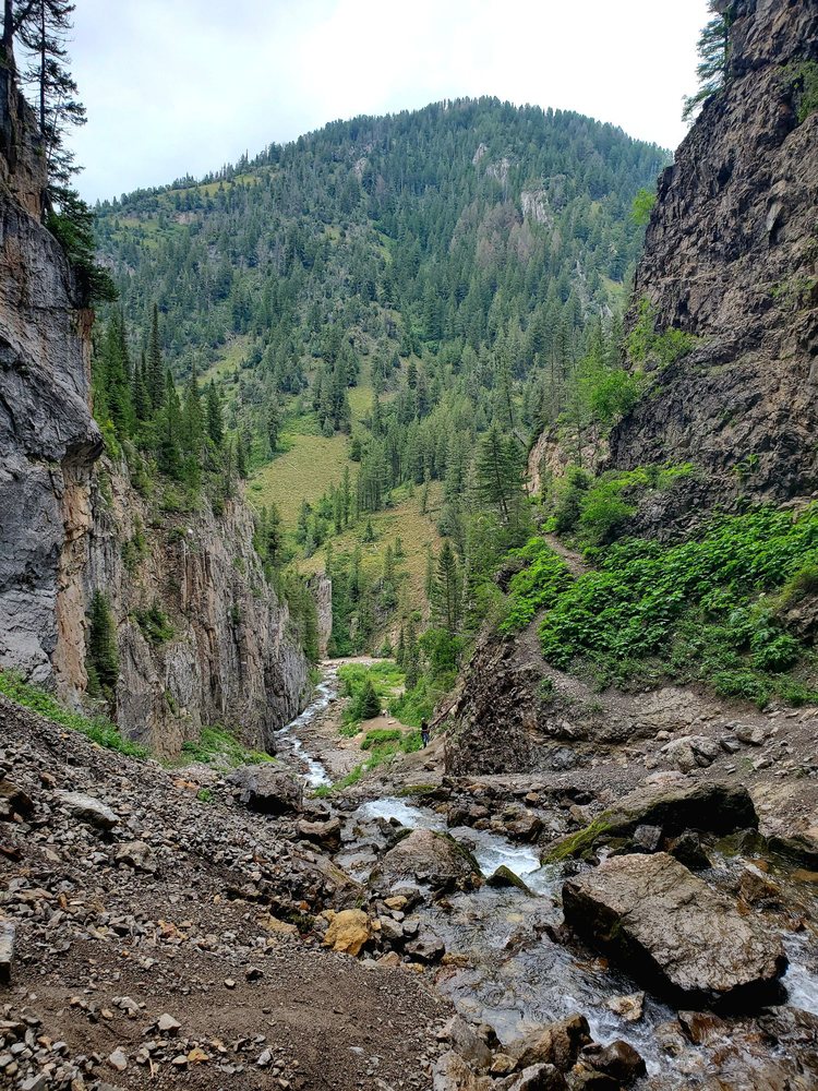 Bridger- teton Intermiten Springs Logo