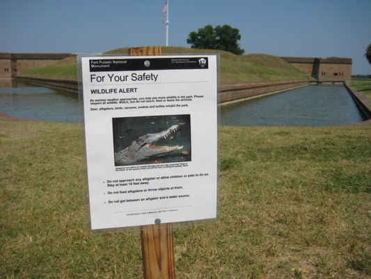 Fort Pulaski National Monument by null