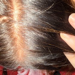 Sine Qua Non Salons
