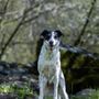 Photo of Chalmers Photography