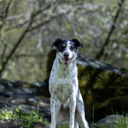 Chalmers Photography