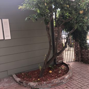 Andres Landscape - Before photo - Landscaping Near Me