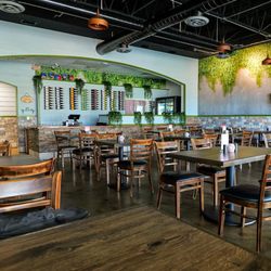 Tikka Indian Cuisine - Interior
