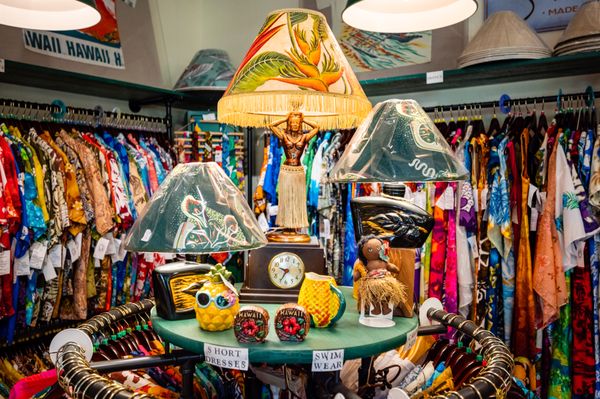 Yellowfish Trading Co. by null