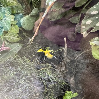 Jungle Box - Nurseries & Gardening Near Me - Phoenix, Arizona