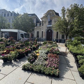 Kouter Bloemenmarkt - Flowers & Gifts Near Me - Gent, VOV