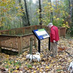 Hylebos Nature Area - Third platform and info sign