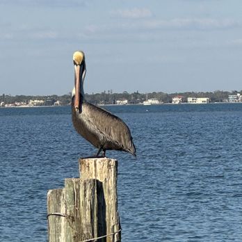 Dry Dock Waterfront Grill - Seafood Near Me - Longboat Key, Florida