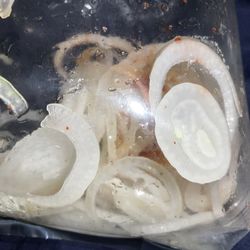 Side of onions