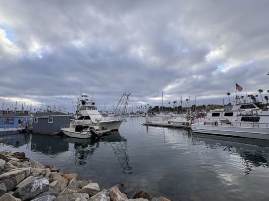Harbor Fish & Chips by null