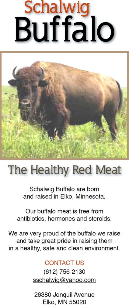 Schalwig Buffalo Logo