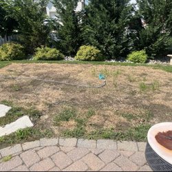 South Jersey Tent Rental - This is my lawn now. As you can see it perfectly mirrors the floor. Grass doesn't die in perfectly straight lines.
