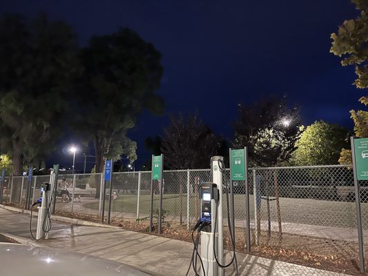 Reed Street Dog Park by null
